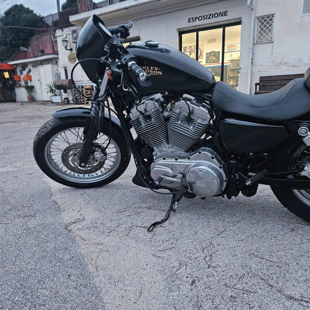 Harley-Davidson 883 Low (2008 - 12) - XL 883L (9)