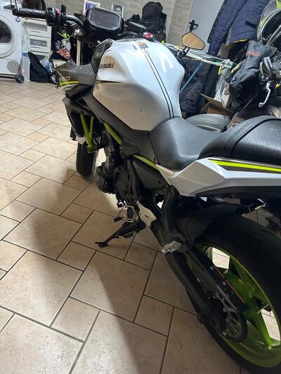 Kawasaki Z 650 (2021 - 24) usata