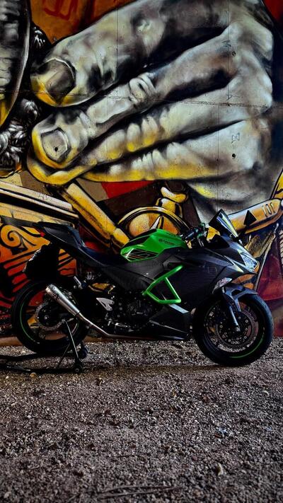 Kawasaki Ninja 400 (2023) usata