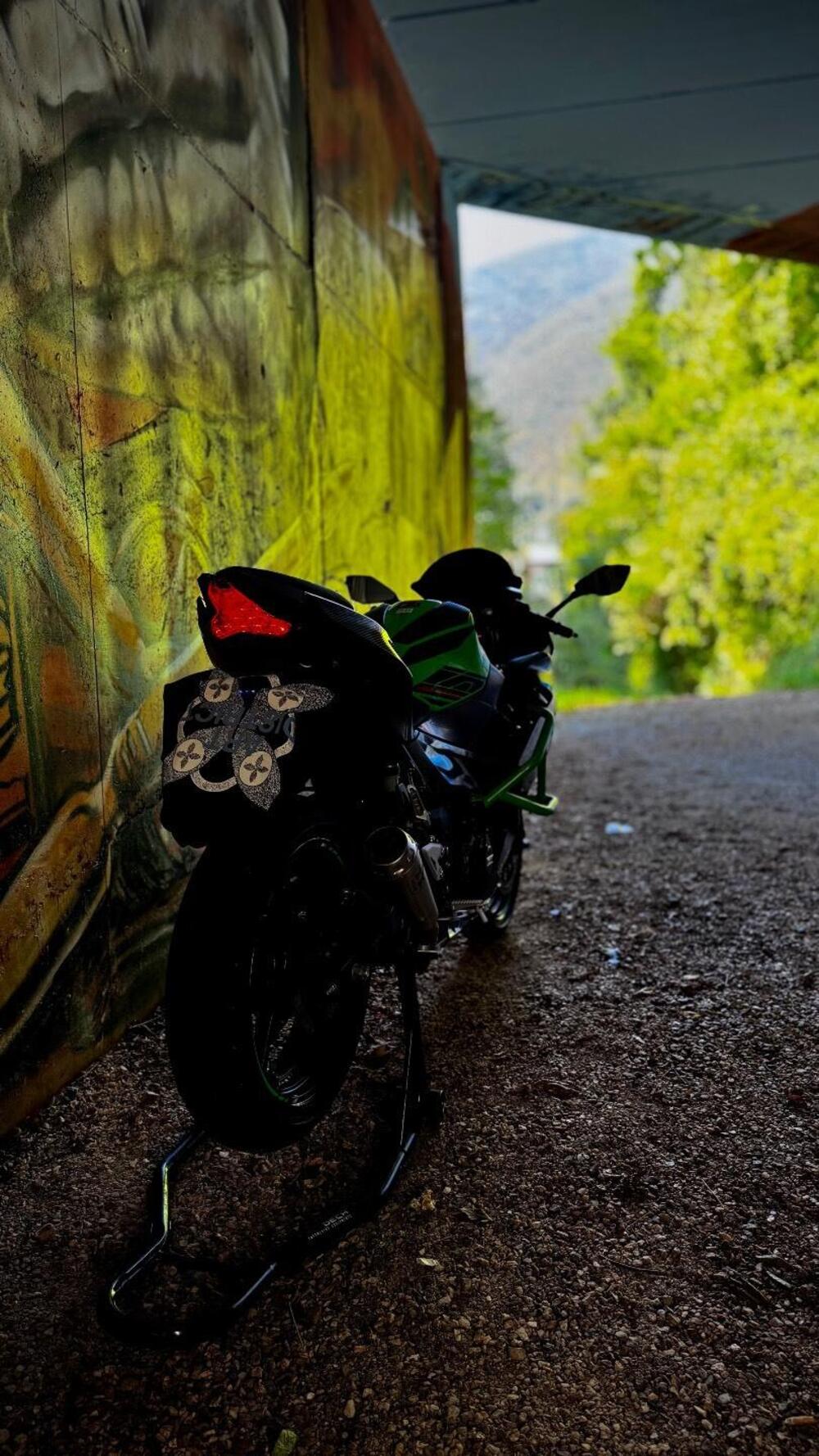 Kawasaki Ninja 400 (2023) (9)