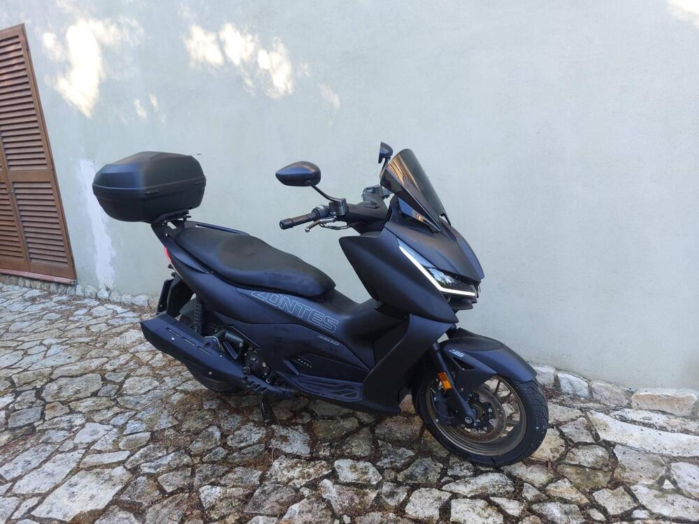 Zontes ZT350-D (2023 - 25) (4)