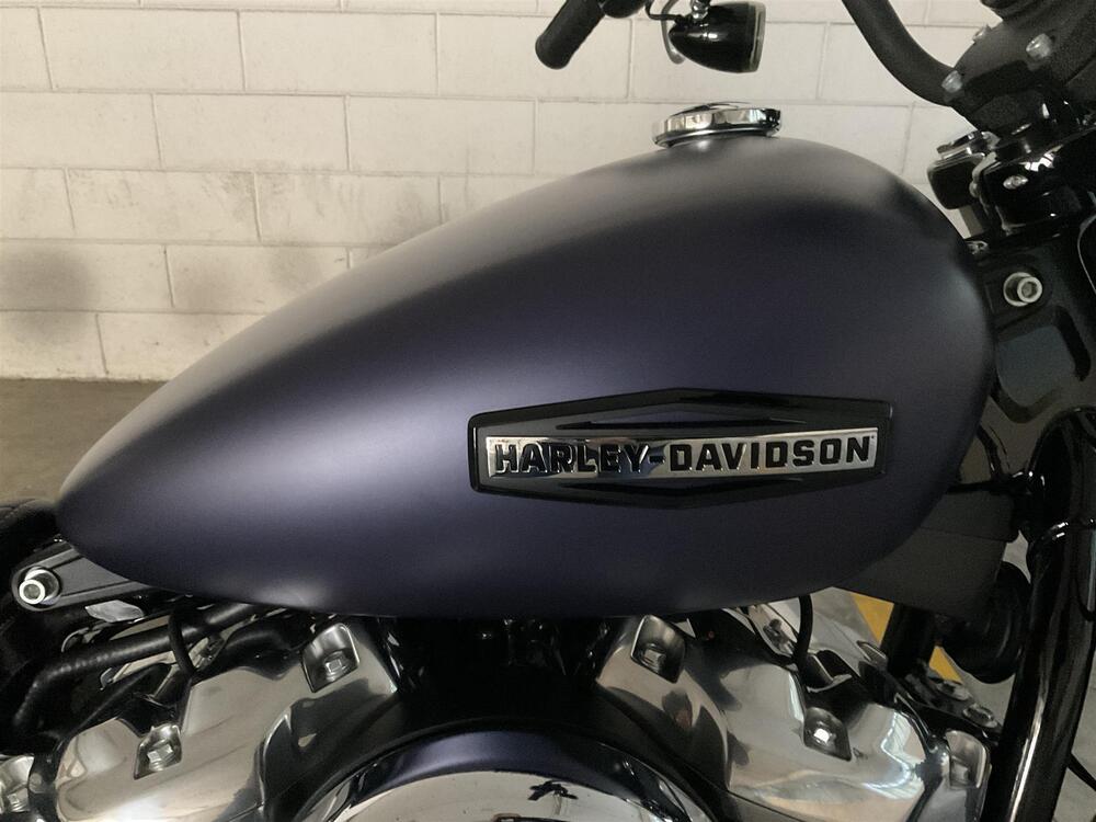 Harley-Davidson Street Bob 117 (2025 - 26) (6)