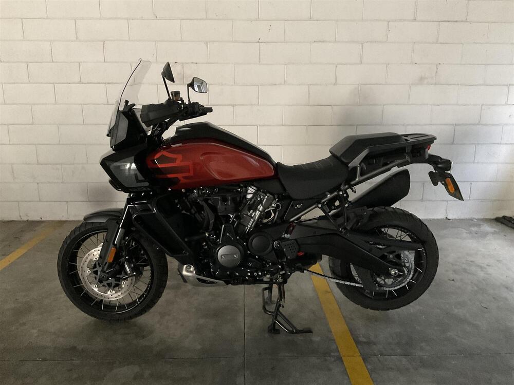 Harley-Davidson Pan America 1250 Special (2020 - 25)