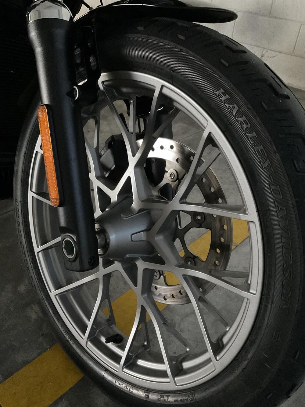 Harley-Davidson Nightster Special (2023 - 26) (6)