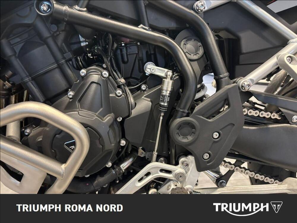 Triumph Tiger 900 Rally Pro (2020 - 23) (3)