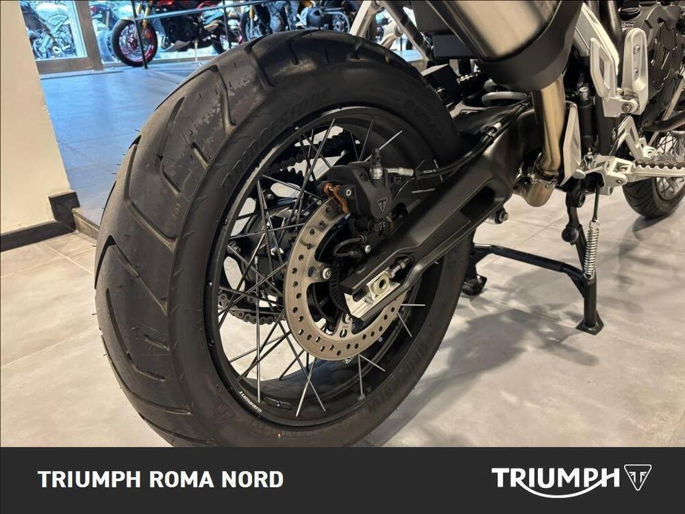 Triumph Tiger 900 Rally Pro (2020 - 23) (11)