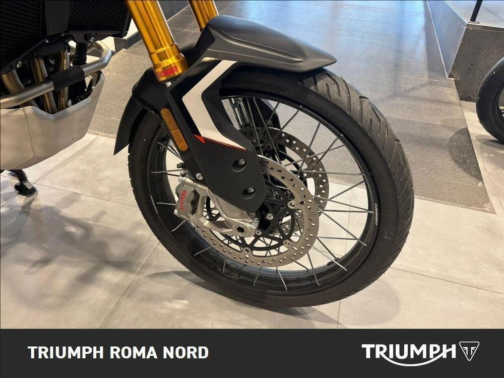 Triumph Tiger 900 Rally Pro (2020 - 23) (13)