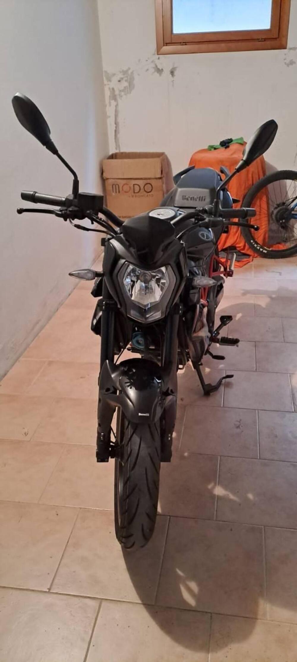 Benelli BN 125 (2021 - 25) (4)