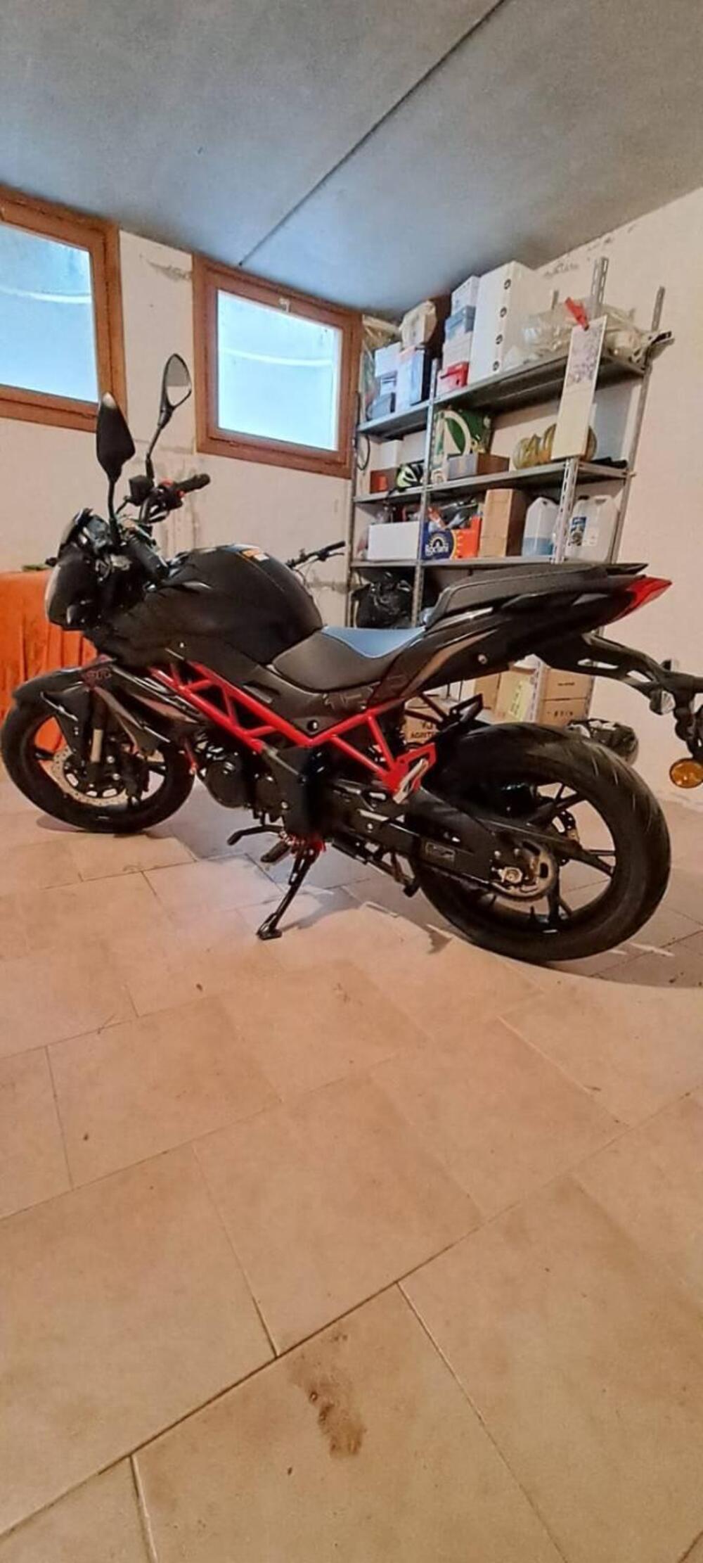 Benelli BN 125 (2021 - 25) (8)