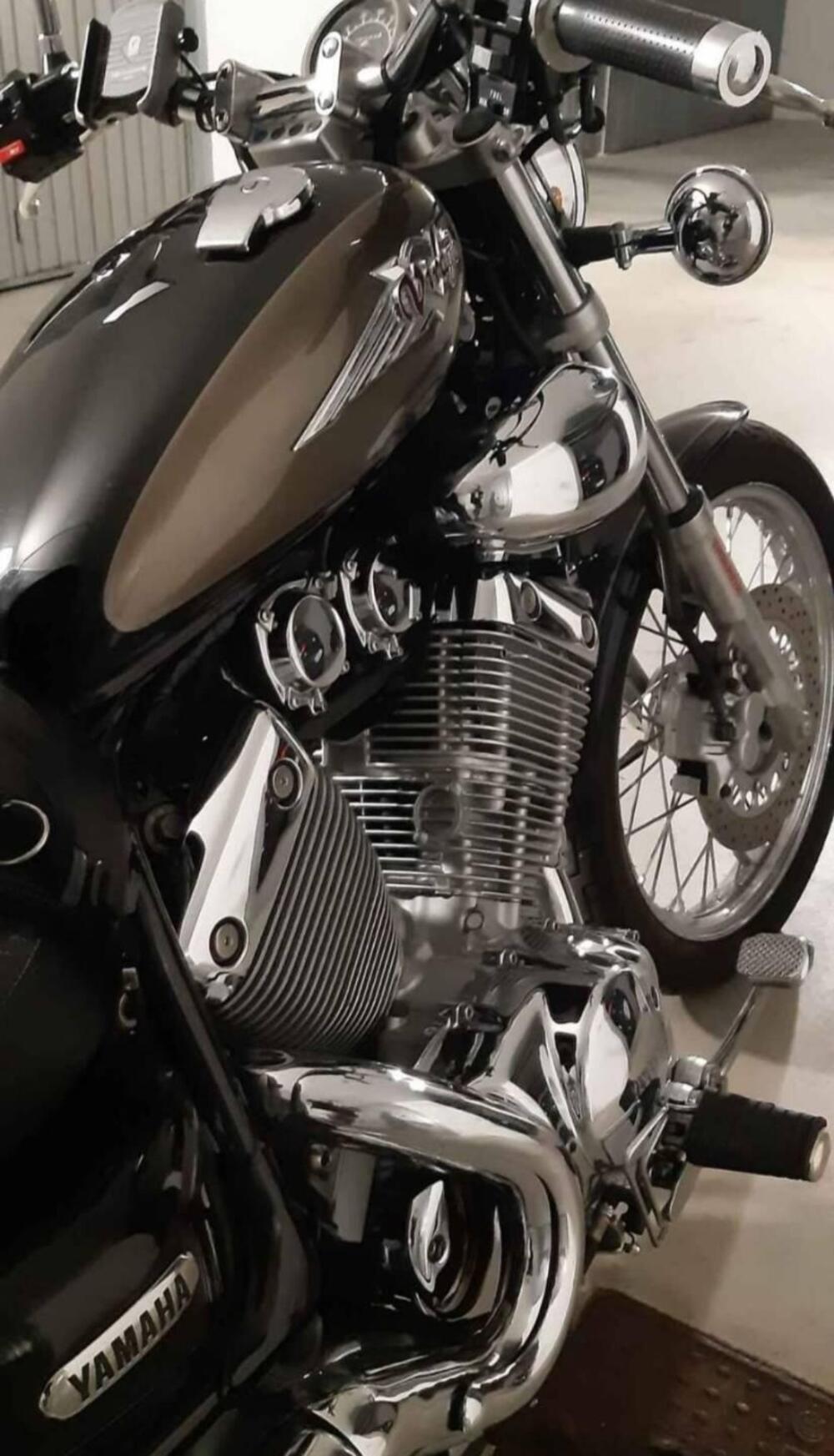 Yamaha XV 535 DX Virago (1998 - 04) (3)