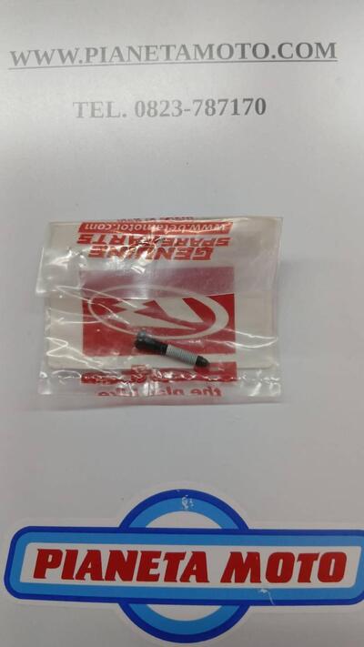 31.63668.000 VITE REGISTRO KEIHIN Betamotor