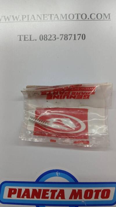 22.39232.000 MOLLA MINIMO CARB. KEIHIN Betamotor