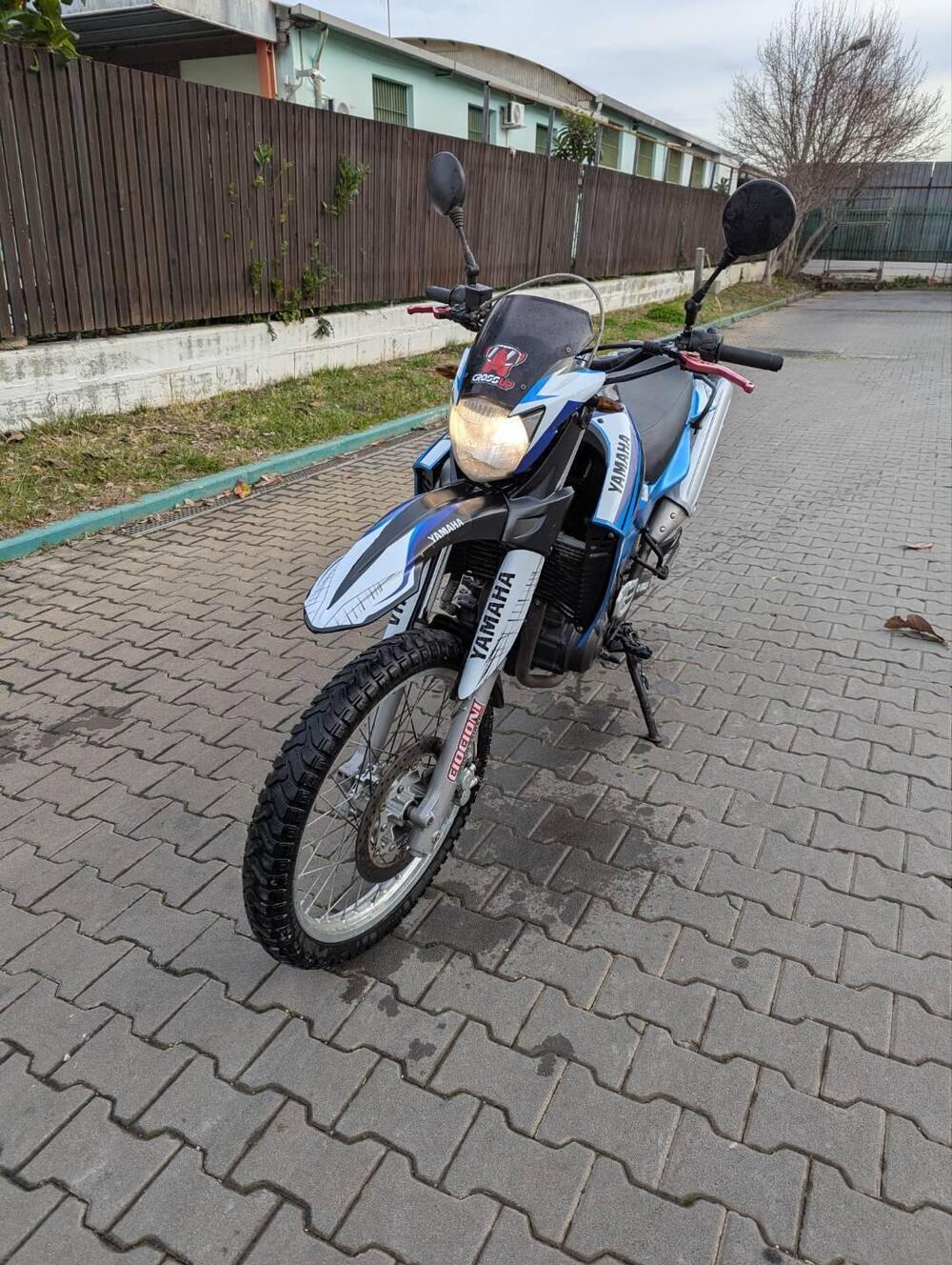 Yamaha XT 660 R (2004 - 16) (6)