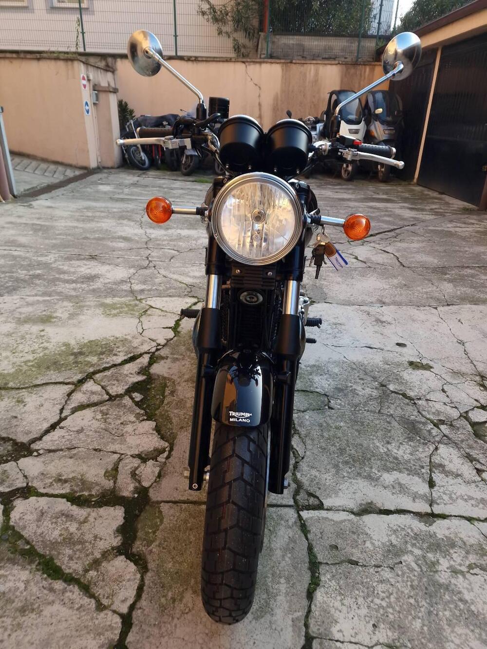 Triumph Bonneville SE (2009 - 13) (3)