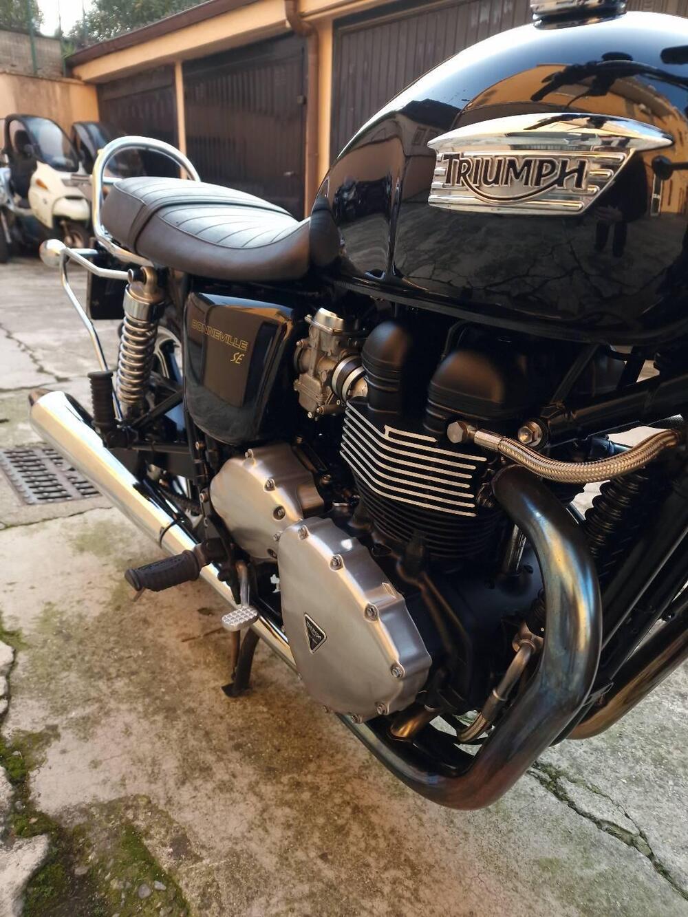 Triumph Bonneville SE (2009 - 13) (14)