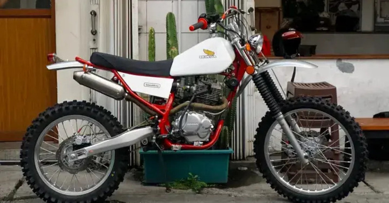 Honda Tiger Solace Motorcycle: quando la scrambler incontra l'enduro