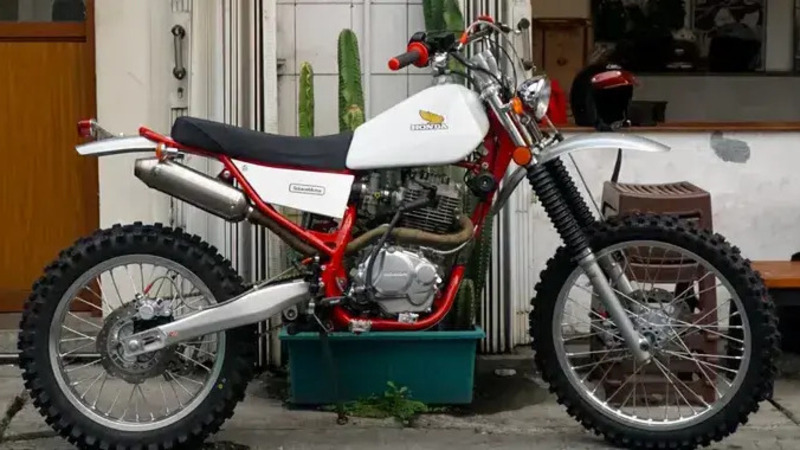 Honda Tiger Solace Motorcycle: quando la scrambler incontra l'enduro