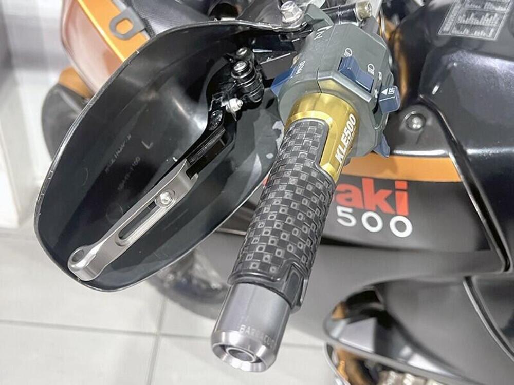 Kawasaki KLE 500 (2005 - 06) (4)