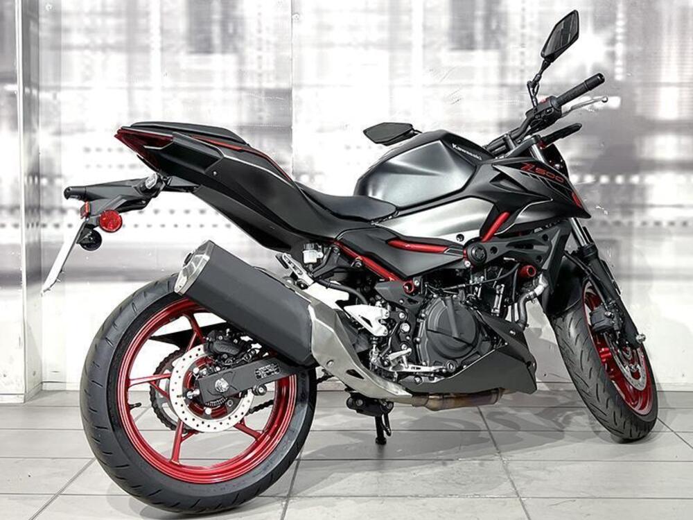 Kawasaki Z 500 SE (2024 - 26) (8)
