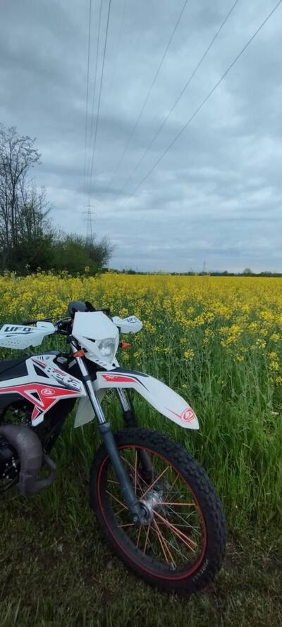 Betamotor RR 50 Enduro (2011 - 18) usata