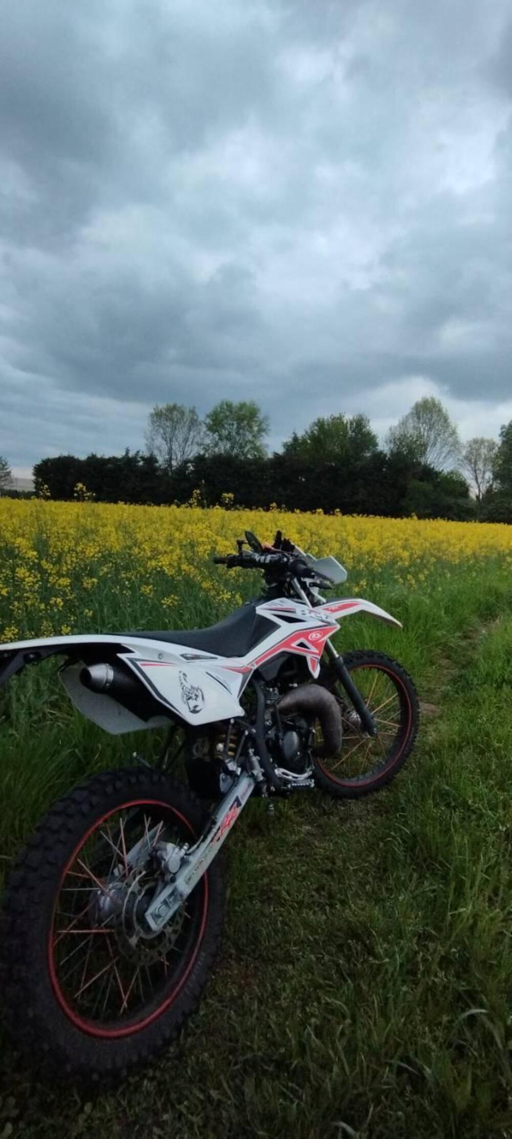 Betamotor RR 50 Enduro (2011 - 18) (4)