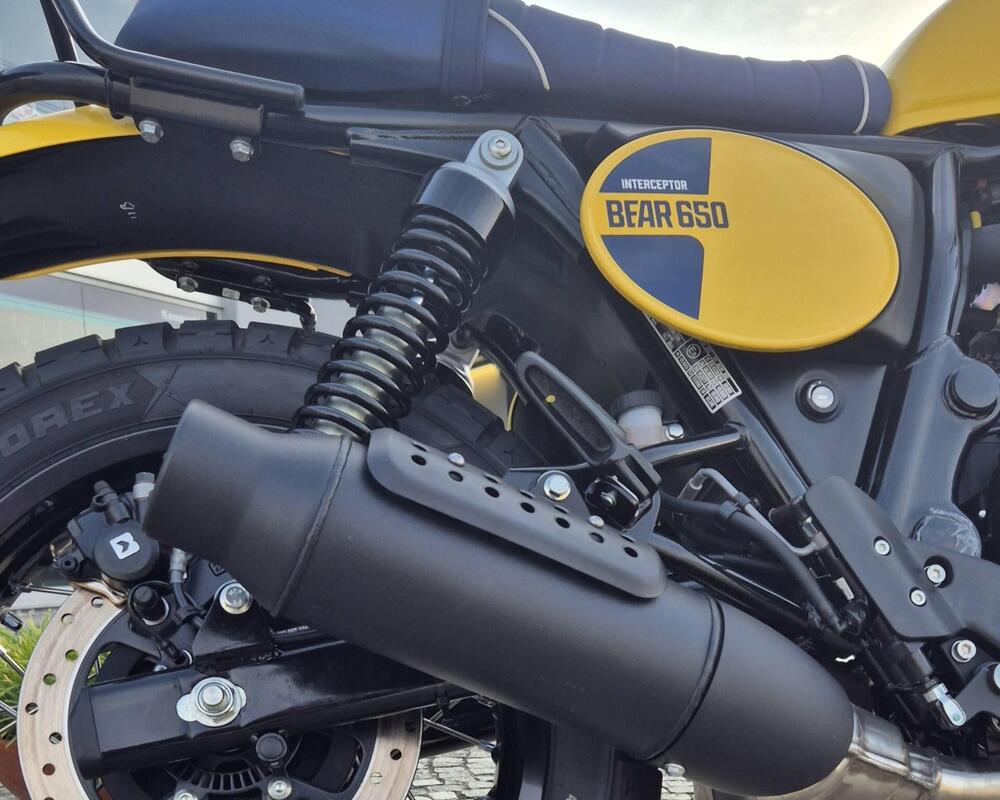 Royal Enfield Bear 650 (2025 - 26) (7)