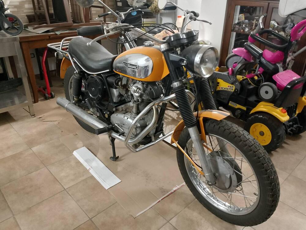 Ducati Scrambler  (2)