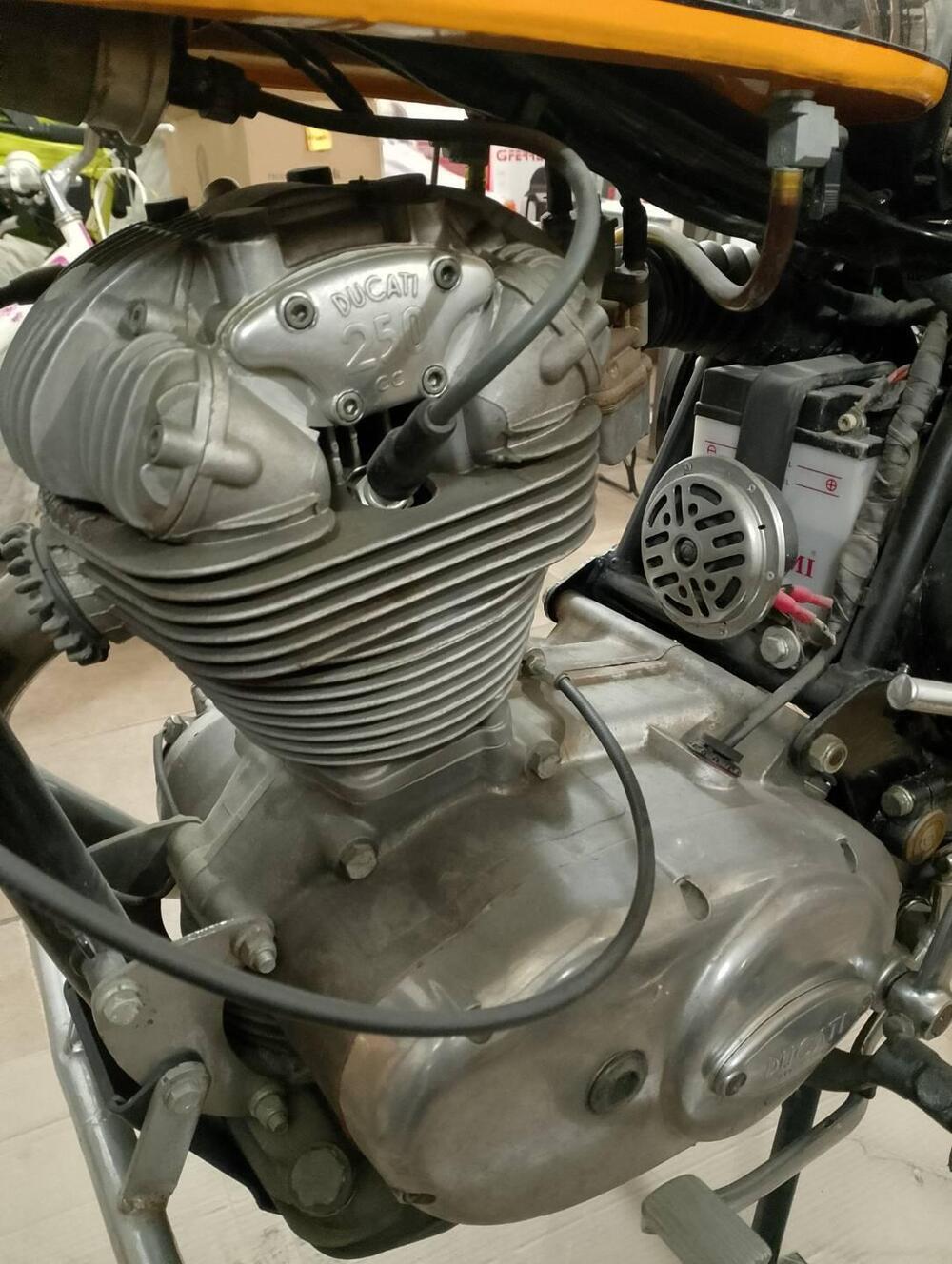 Ducati Scrambler  (6)