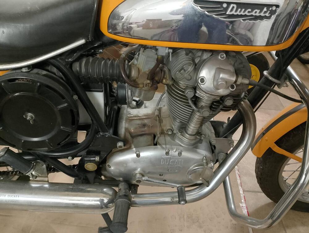 Ducati Scrambler  (9)