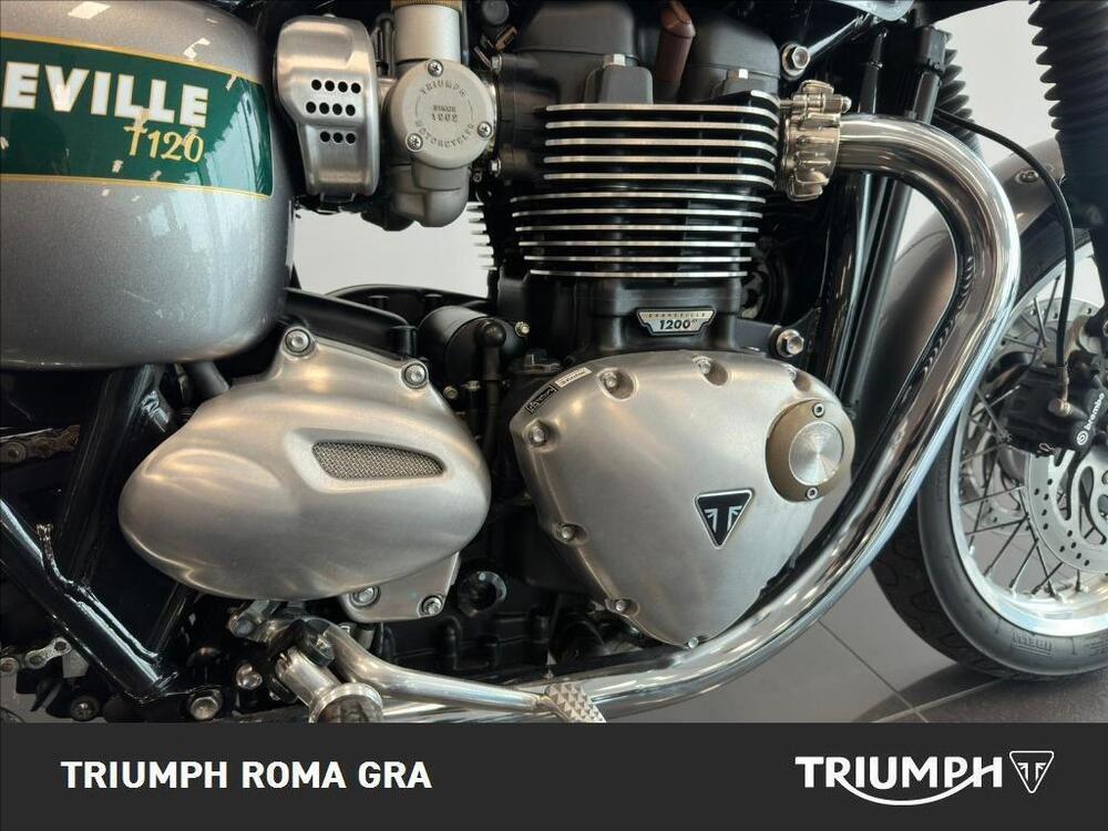 Triumph Bonneville T120 Gold Line Edition (2022 - 23) (6)