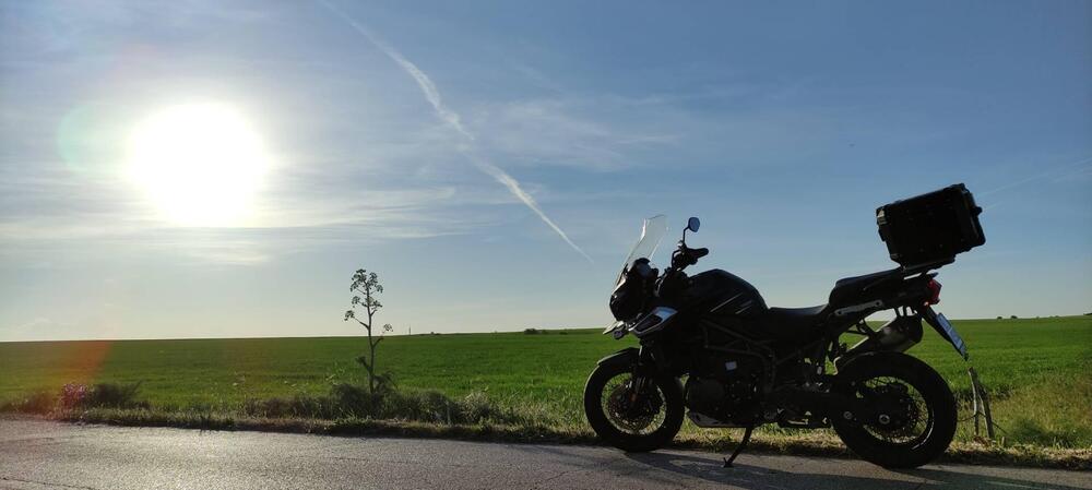 Triumph Tiger 1200 XCx (2018 - 20) (2)