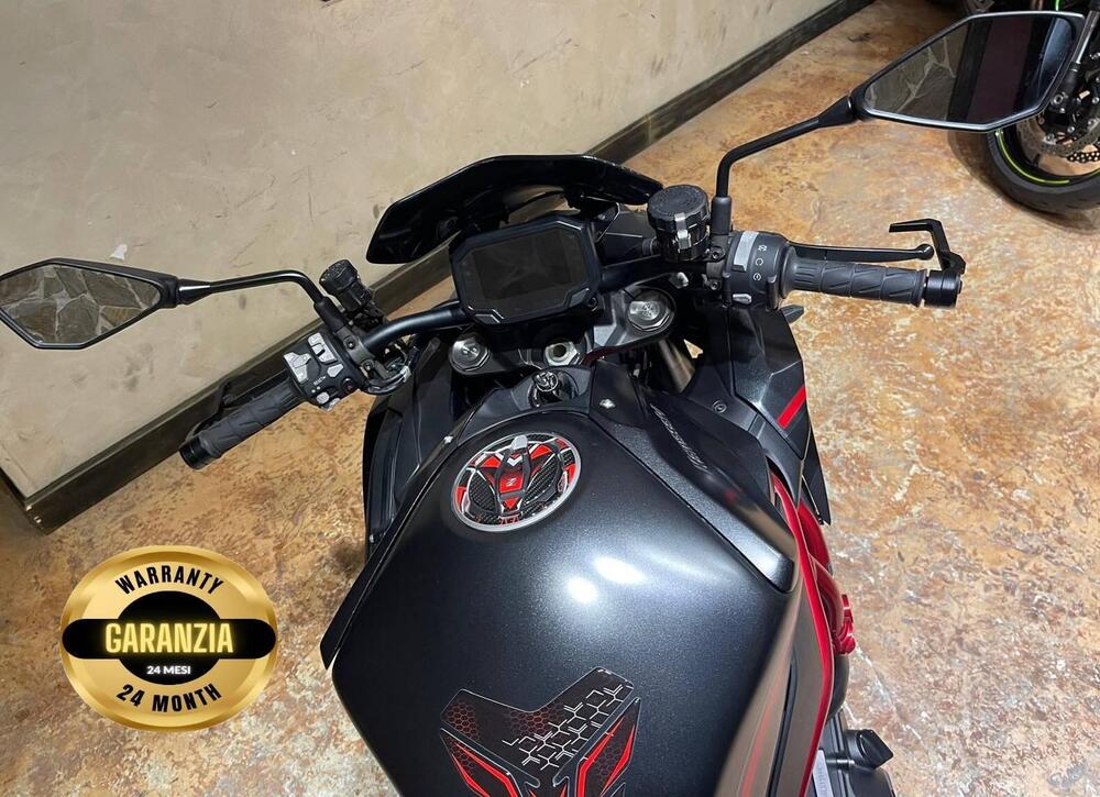 Kawasaki Z H2 (2021) (20)