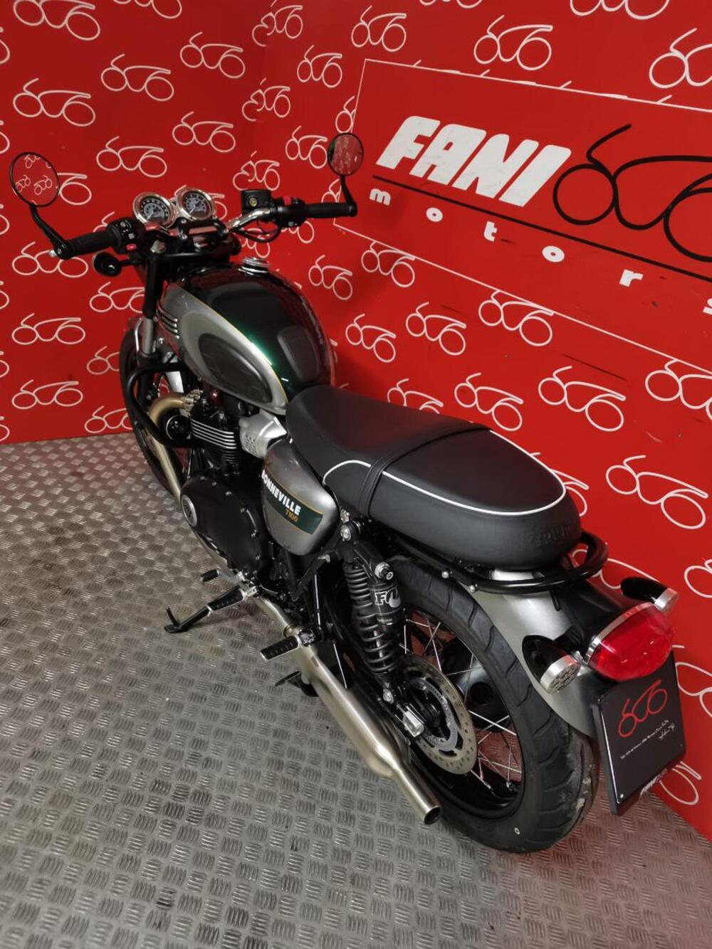 Triumph Bonneville T100 Gold Line Edition (2022) (4)