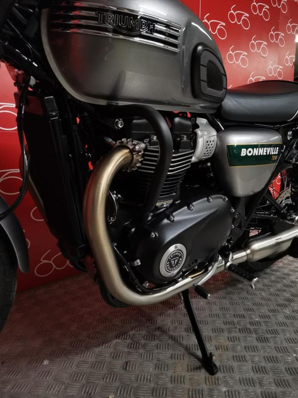Triumph Bonneville T100 Gold Line Edition (2022) (6)