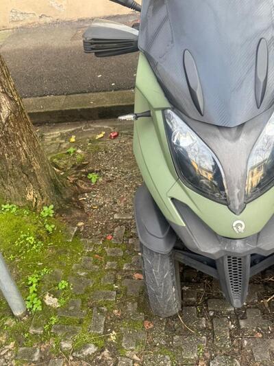 Quadro Quadro 3 350 (2017 - 18) usata