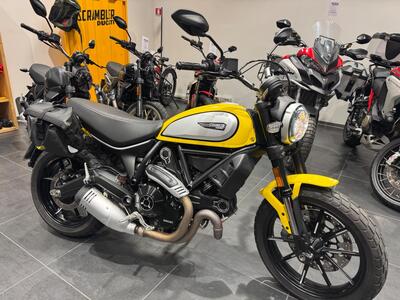 Ducati Scrambler 800 Icon (2021 - 22) usata