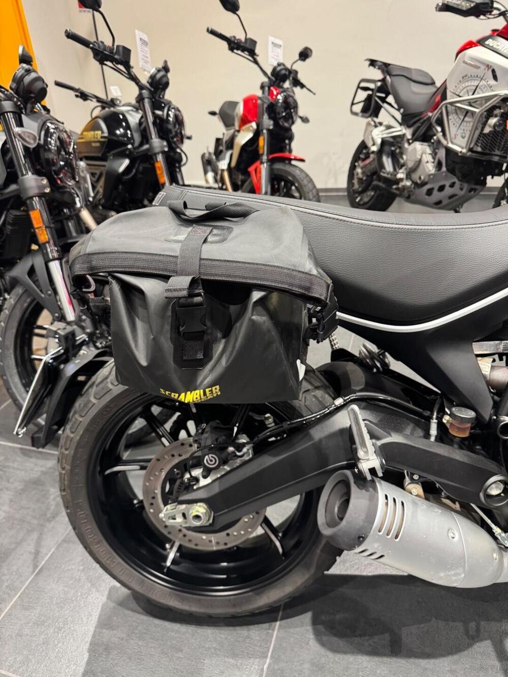 Ducati Scrambler 800 Icon (2021 - 22) (5)