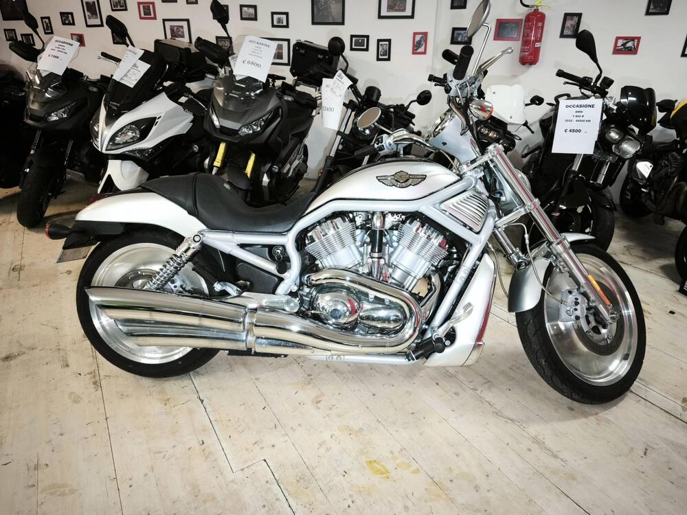 Harley-Davidson 1130 V-Rod (2002 - 05) - VRSCA