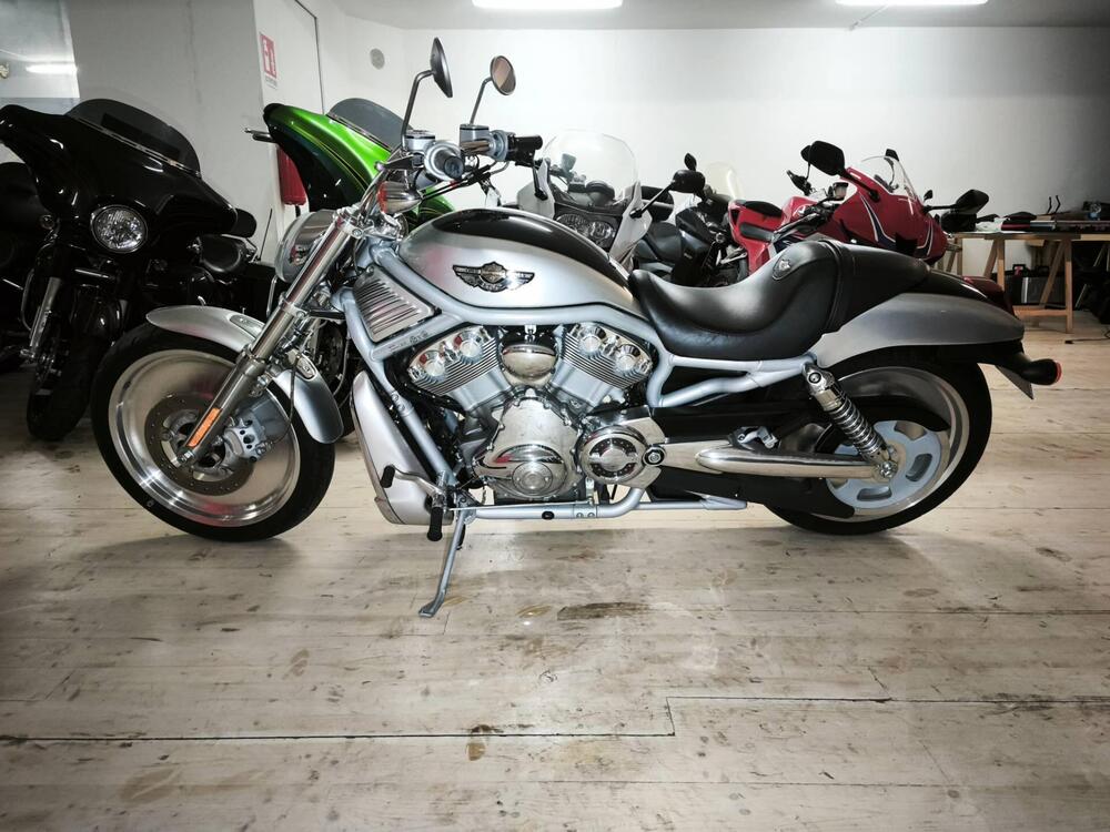 Harley-Davidson 1130 V-Rod (2002 - 05) - VRSCA (3)