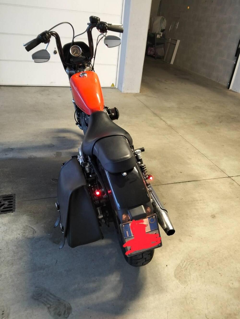 Harley-Davidson 883 (2008 - 09) - XL (4)