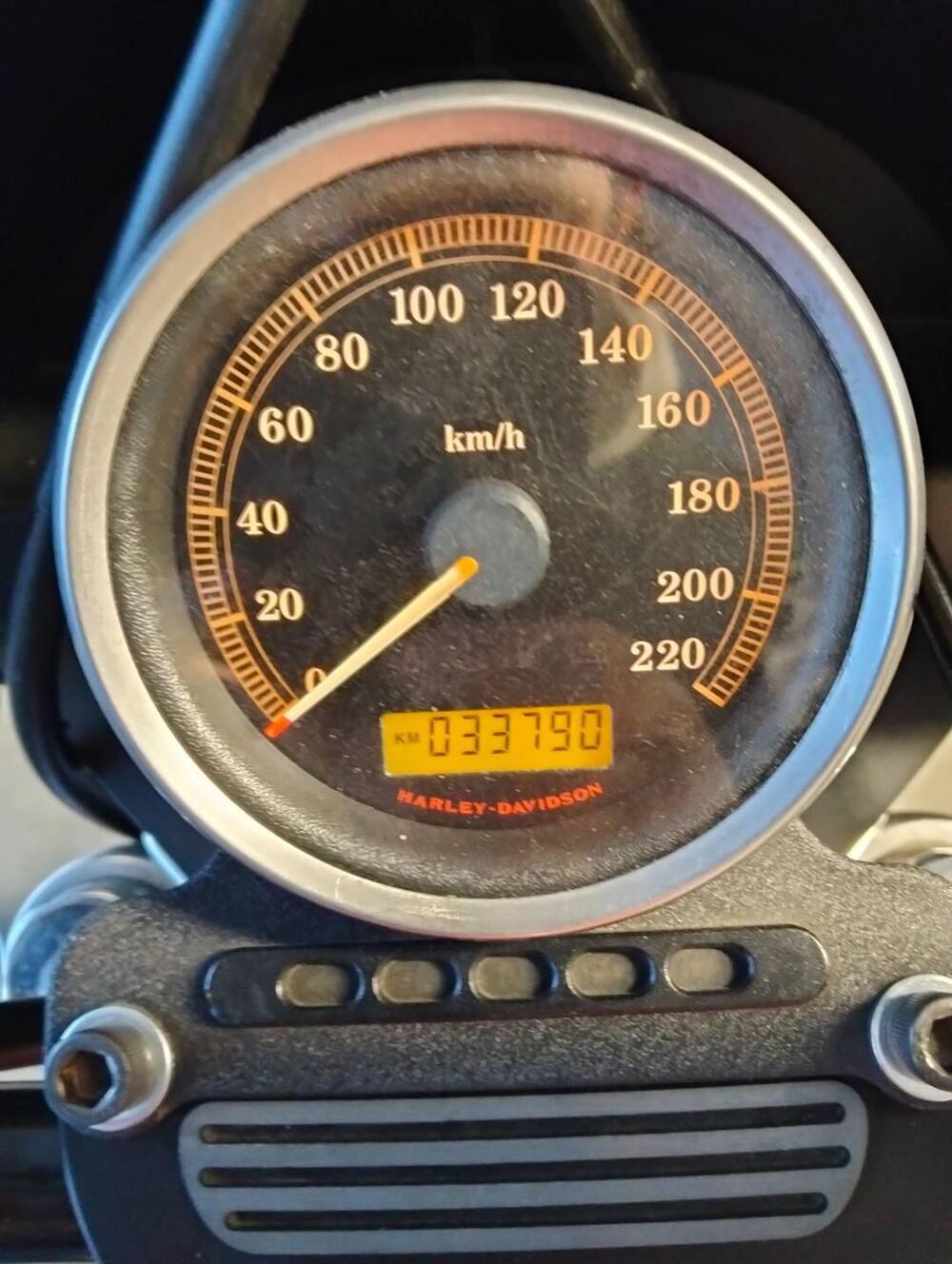 Harley-Davidson 883 (2008 - 09) - XL (5)