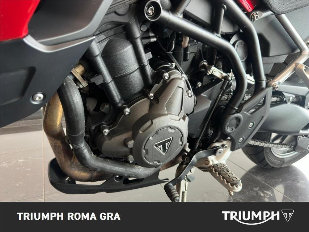 Triumph Tiger 900 GT (2020 - 23) (15)