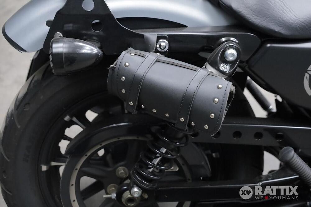 Harley-Davidson 883 Iron (2017 - 20) - XL 883N (9)