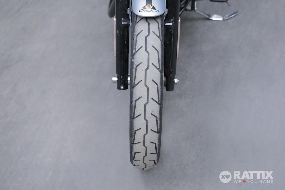 Harley-Davidson 883 Iron (2017 - 20) - XL 883N (12)