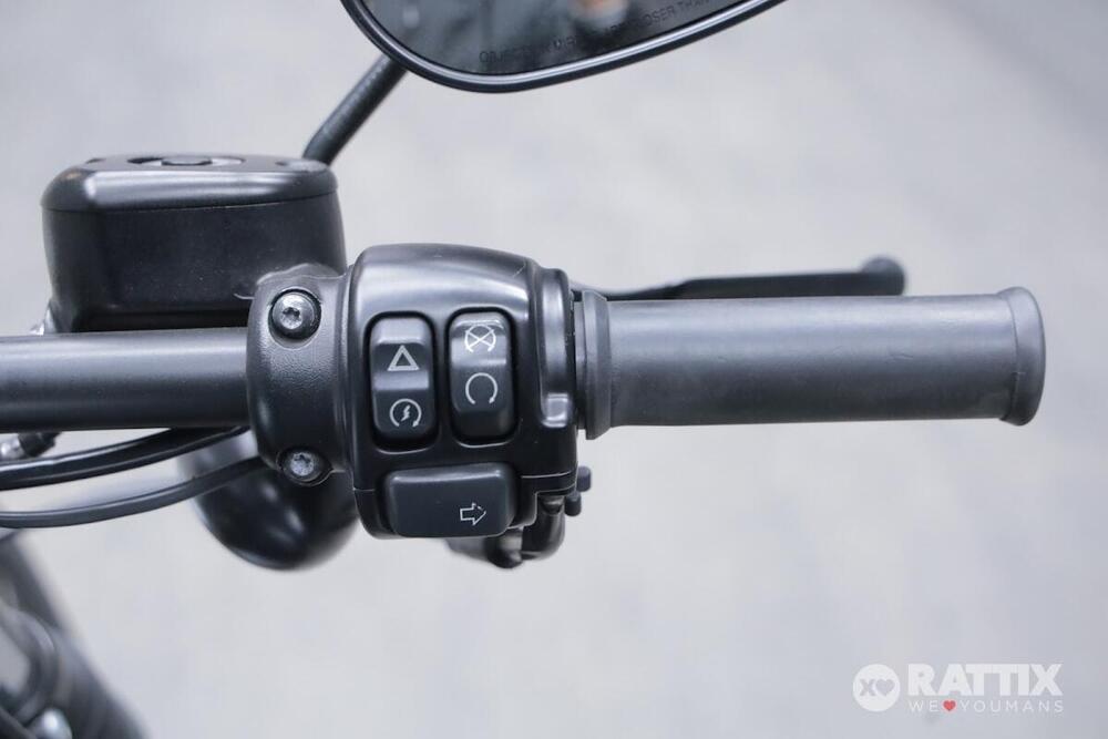 Harley-Davidson 883 Iron (2017 - 20) - XL 883N (14)