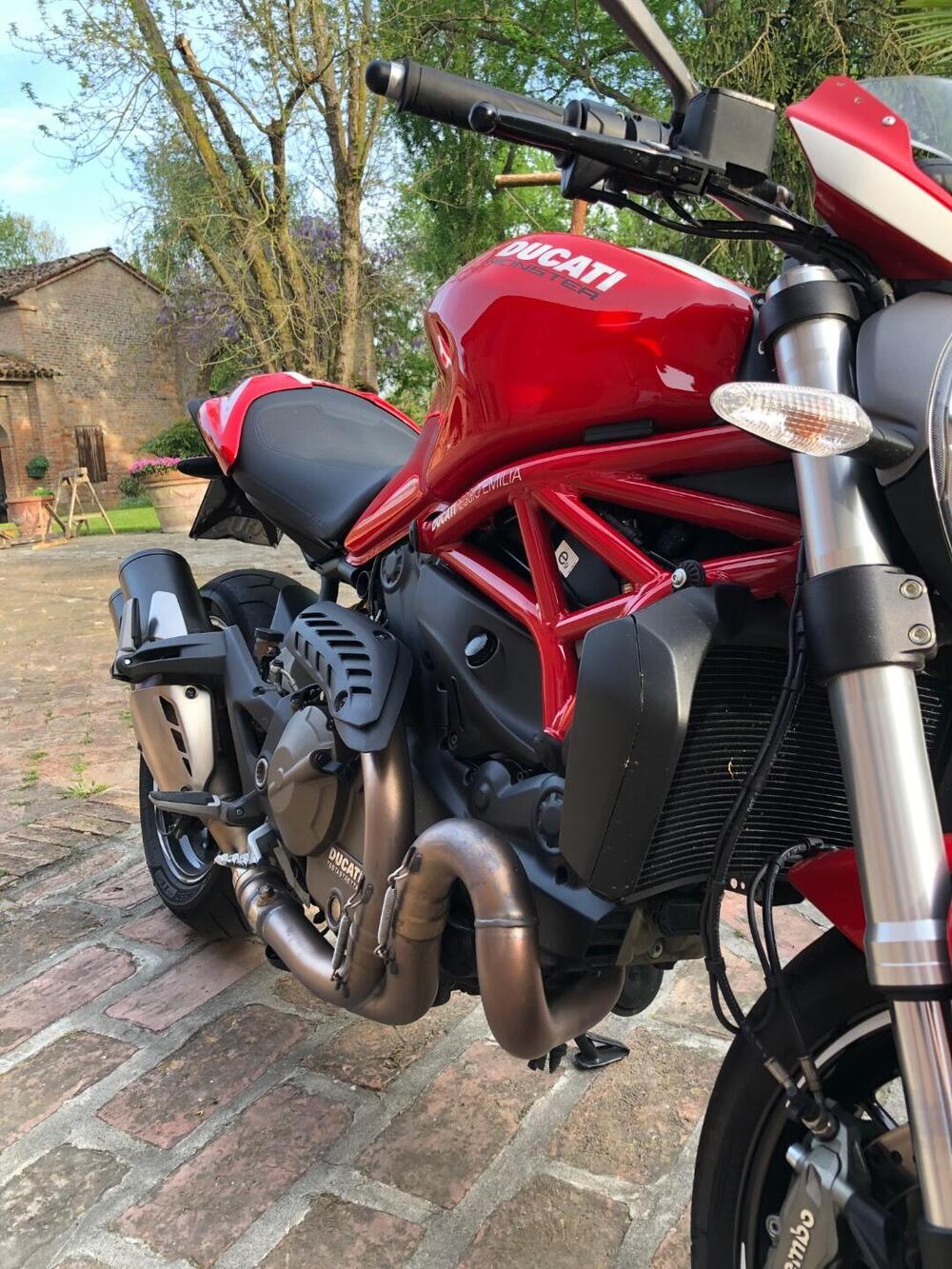 Ducati Monster 821 Stripe ABS (2015 - 17) (4)