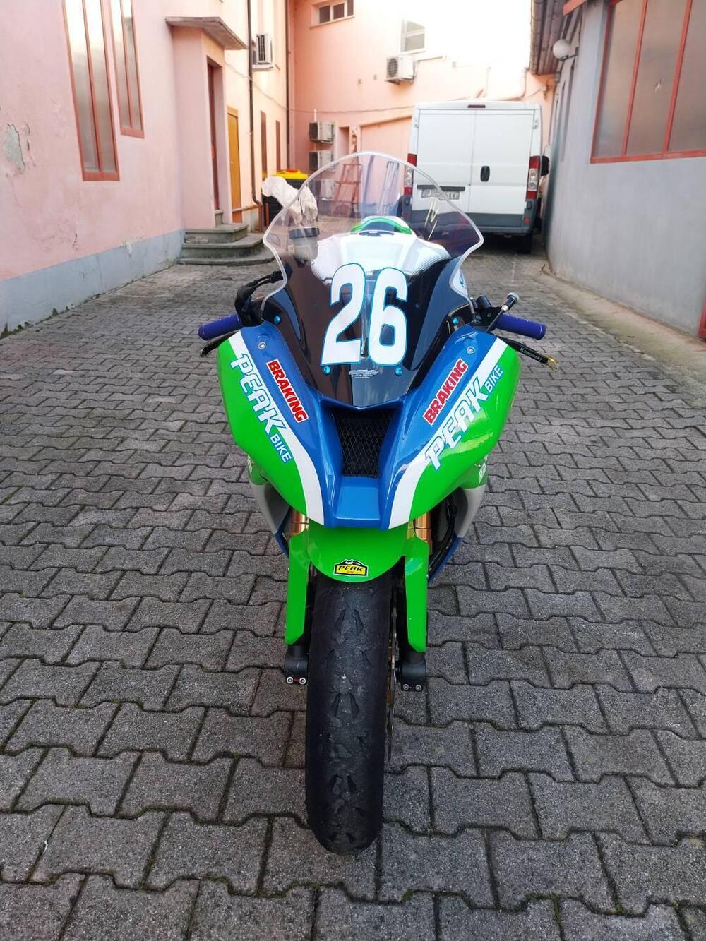 Kawasaki Ninja 1000 ZX-10R (2011 - 15) (5)