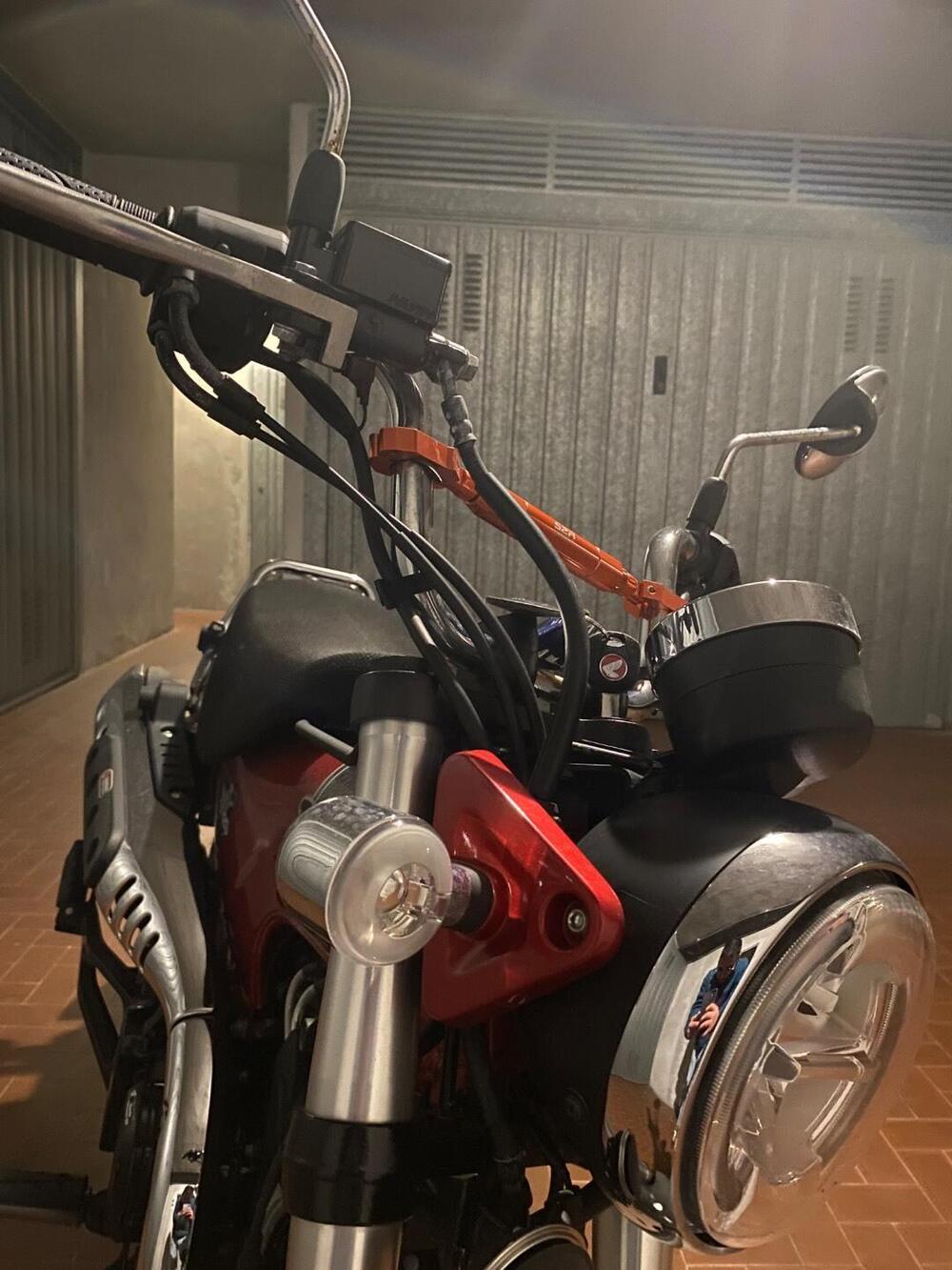 Honda Dax 125 (2023 - 24) (2)