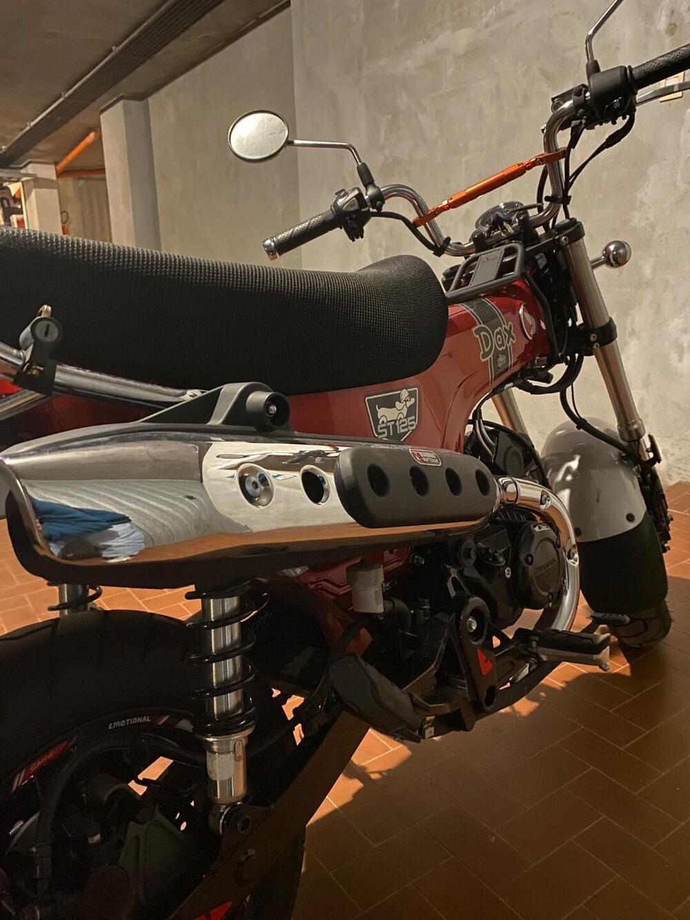 Honda Dax 125 (2023 - 24) (5)