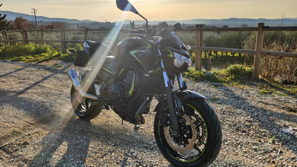 Kawasaki Z 650 (2021 - 24) (2)